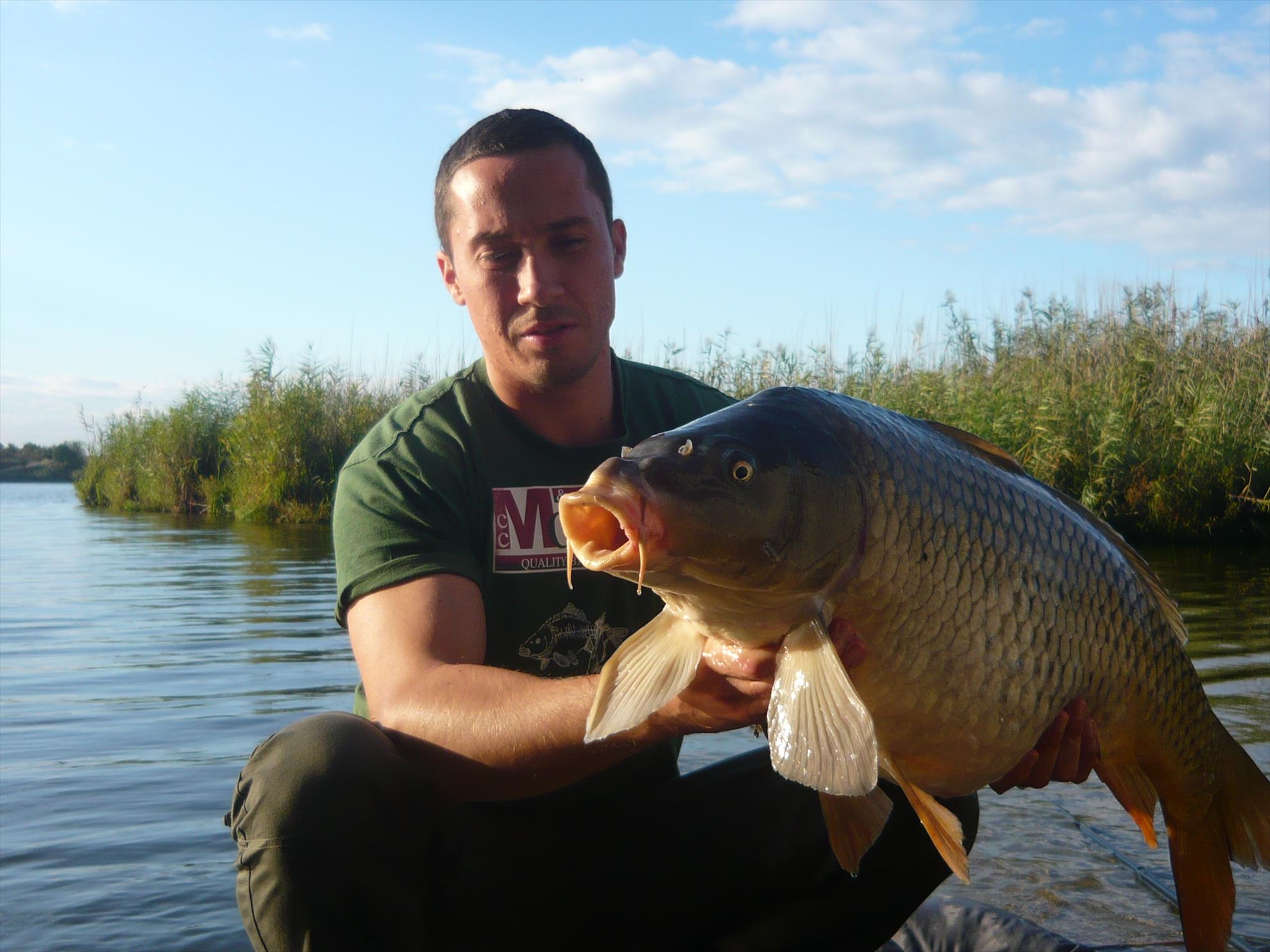 Best-2010 - p1020594.JPG